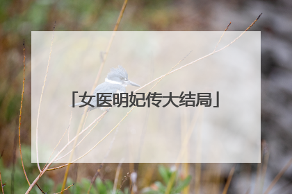 女医明妃传大结局