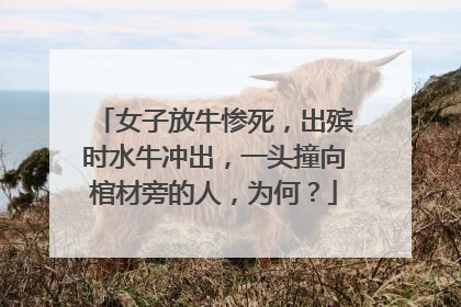 女子放牛惨死，出殡时水牛冲出，一头撞向棺材旁的人，为何？