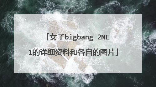 女子bigbang 2NE1的详细资料和各自的图片