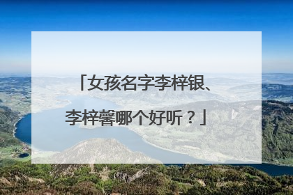 女孩名字李梓银、李梓馨哪个好听？