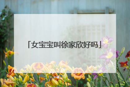 女宝宝叫徐家欣好吗