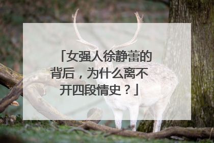 女强人徐静蕾的背后，为什么离不开四段情史？