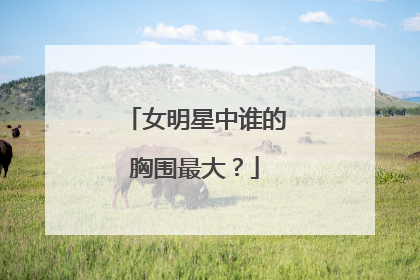 女明星中谁的胸围最大?