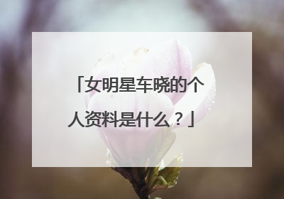 女明星车晓的个人资料是什么？