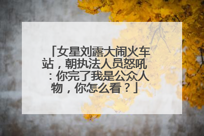 女星刘露大闹火车站，朝执法人员怒吼：你完了我是公众人物，你怎么看？