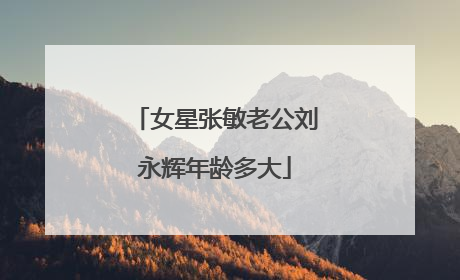 女星张敏老公刘永辉年龄多大