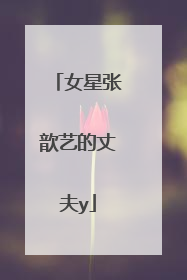 女星张歆艺的丈夫y