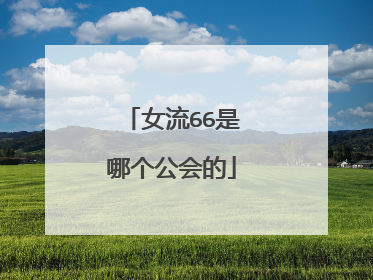女流66是哪个公会的