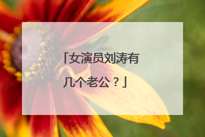 女演员刘涛有几个老公？