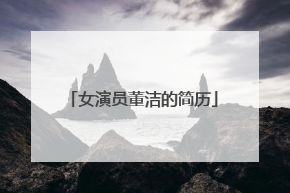 女演员董洁的简历