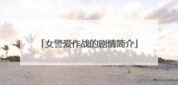 女警爱作战的剧情简介