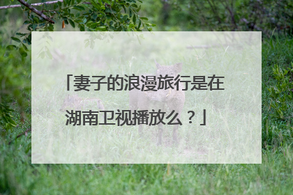 妻子的浪漫旅行是在湖南卫视播放么?