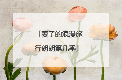 妻子的浪漫旅行朗朗第几季