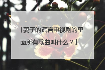 妻子的谎言电视剧的里面所有歌曲叫什么?