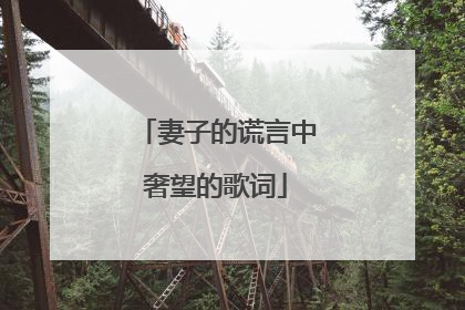 妻子的谎言中奢望的歌词