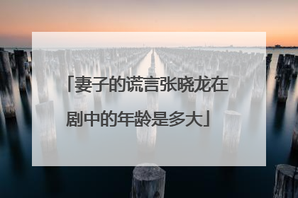 妻子的谎言张晓龙在剧中的年龄是多大