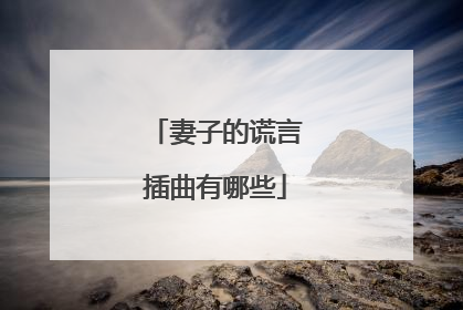 妻子的谎言插曲有哪些