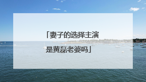 妻子的选择主演是黄磊老婆吗