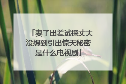 妻子出差试探丈夫没想到引出惊天秘密是什么电视剧