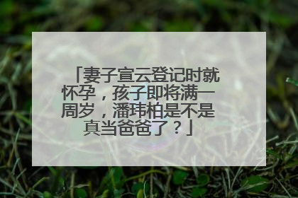 妻子宣云登记时就怀孕,孩子即将满一周岁,潘玮柏是不是真当爸爸了?