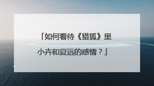 如何看待《猎狐》里小卉和夏远的感情?