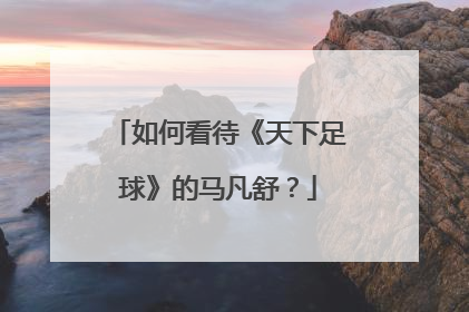 如何看待《天下足球》的马凡舒?