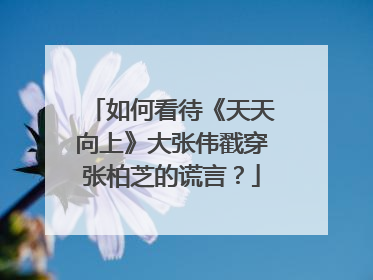 如何看待《天天向上》大张伟戳穿张柏芝的谎言?