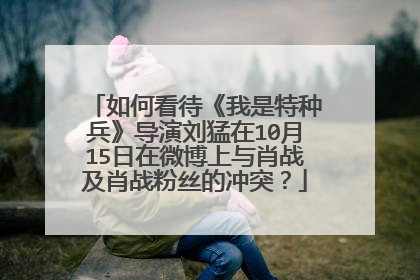 如何看待《我是特种兵》导演刘猛在10月15日在微博上与肖战及肖战粉丝的冲突？