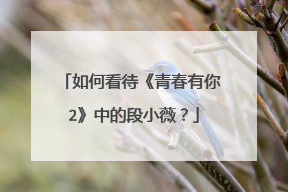 如何看待《青春有你2》中的段小薇？