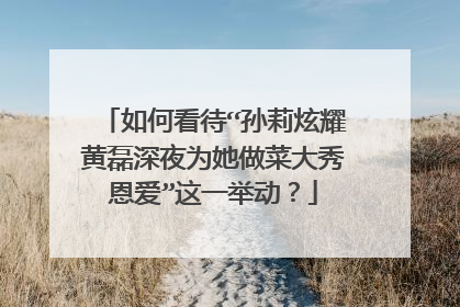 如何看待“孙莉炫耀黄磊深夜为她做菜大秀恩爱”这一举动？