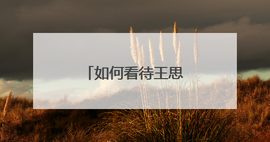如何看待王思聪“娱乐圈纪检委”的称号？
