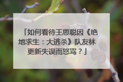 如何看待王思聪因《绝地求生:大逃杀》队友林更新失误而怒骂?