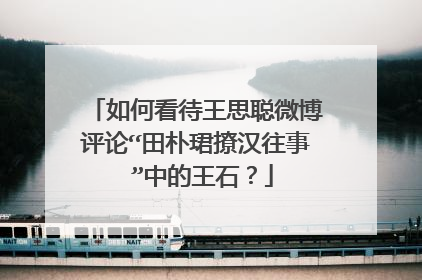 如何看待王思聪微博评论“田朴珺撩汉往事 ”中的王石？