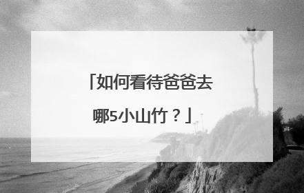 如何看待爸爸去哪5小山竹？