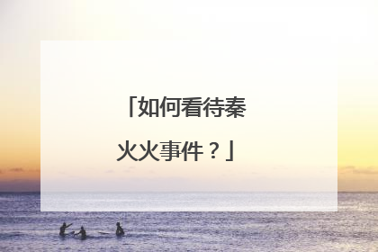 如何看待秦火火事件?