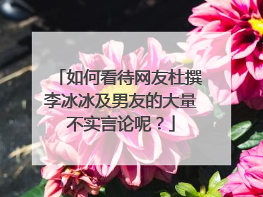 如何看待网友杜撰李冰冰及男友的大量不实言论呢？