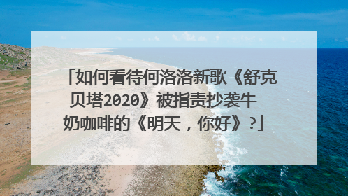 如何看待何洛洛新歌《舒克贝塔2020》被指责抄袭牛奶咖啡的《明天,你好》?