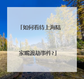 如何看待上海陆家嘴渡劫事件?