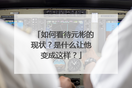 如何看待元彬的现状？是什么让他变成这样？