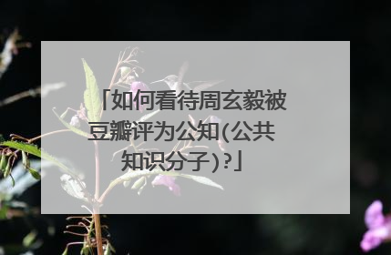 如何看待周玄毅被豆瓣评为公知(公共知识分子)?