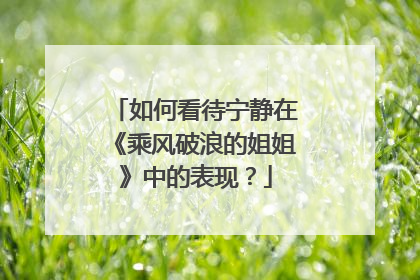 如何看待宁静在《乘风破浪的姐姐》中的表现？