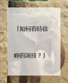 如何看待徐峥的演技？