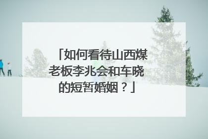 如何看待山西煤老板李兆会和车晓的短暂婚姻？