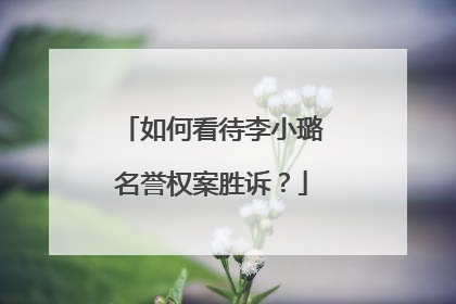 如何看待李小璐名誉权案胜诉？