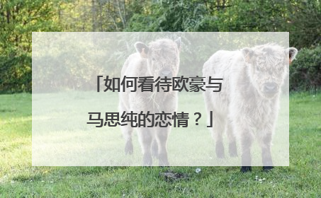 如何看待欧豪与马思纯的恋情？