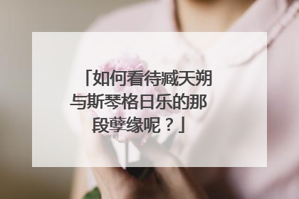 如何看待臧天朔与斯琴格日乐的那段孽缘呢？