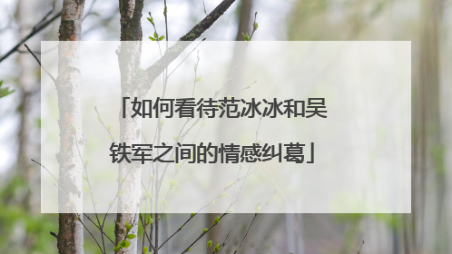 如何看待范冰冰和吴铁军之间的情感纠葛