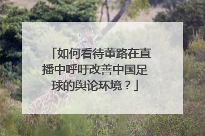 如何看待董路在直播中呼吁改善中国足球的舆论环境？