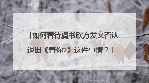 如何看待虞书欣方发文否认退出《青你2》这件事情？