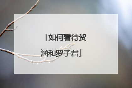 如何看待贺涵和罗子君